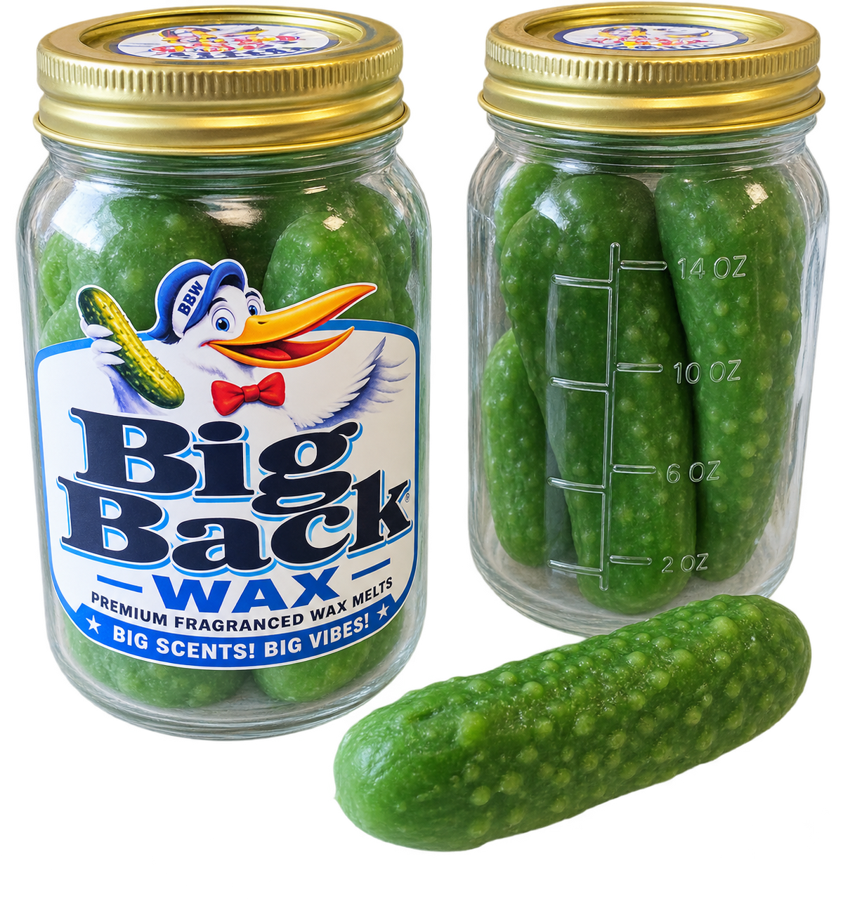 Big Back Favorites